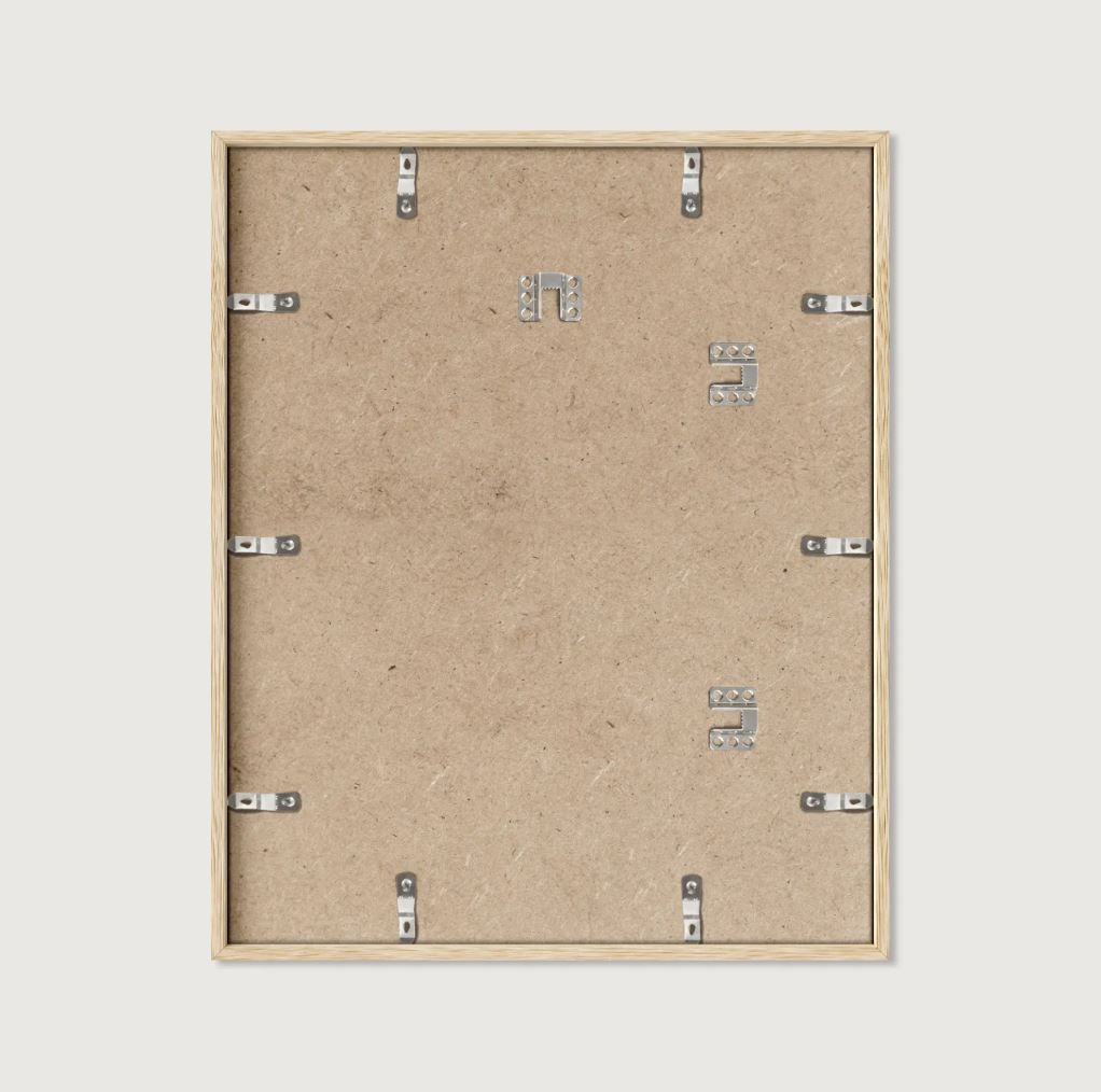 Male Eastern Bluebird Watercolor Painting Art Print