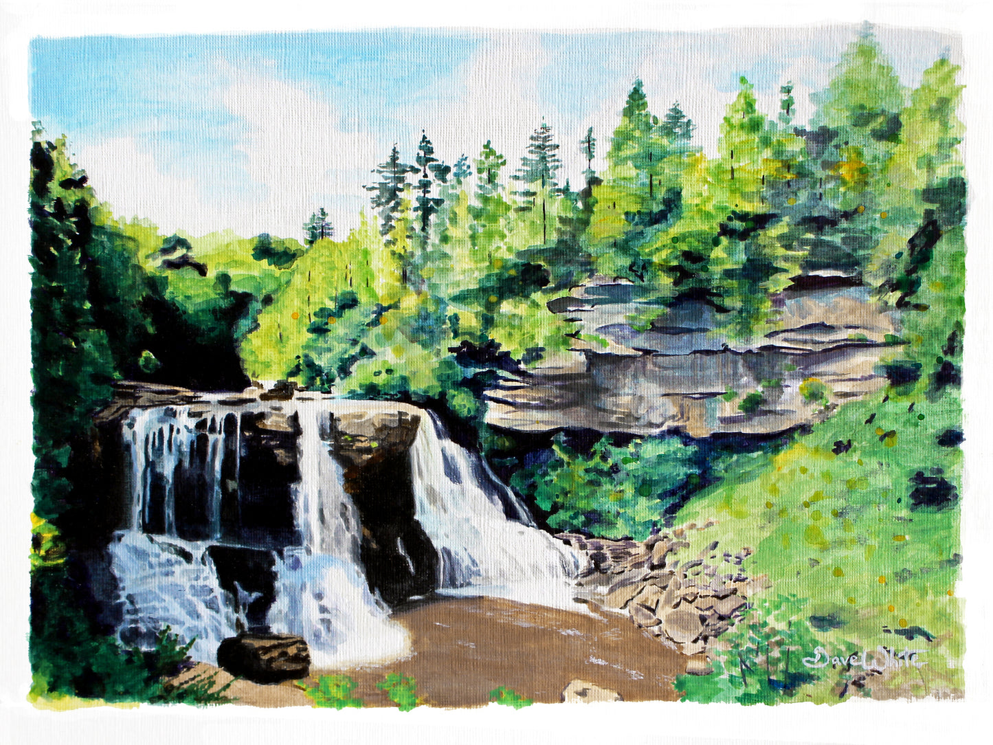 Blackwater Falls West Virginia Painting Art Print