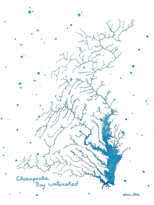 Chesapeake Bay Watershed Watercolor Painting Art Print