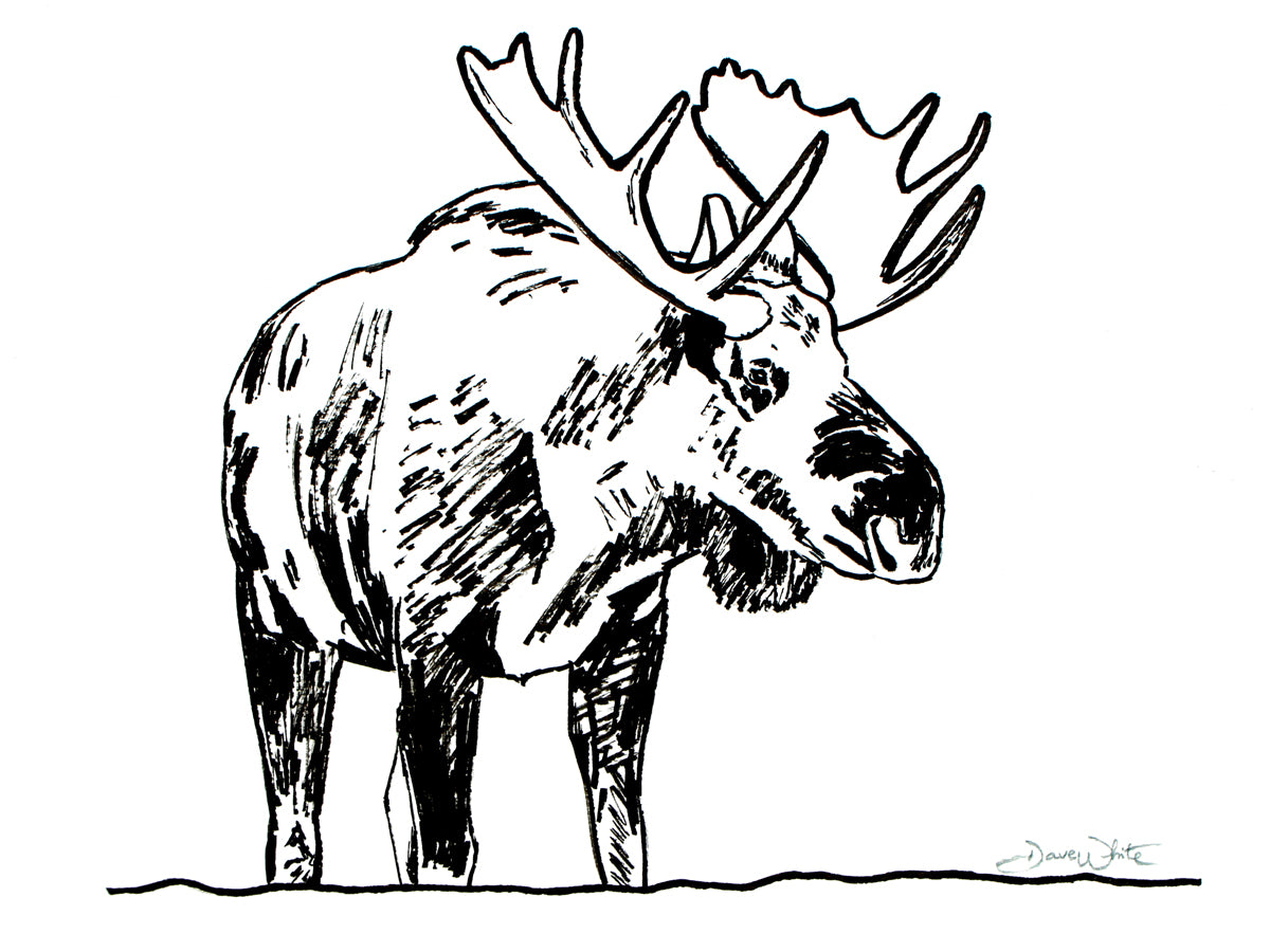 Moose Drawing Black and White Art Print