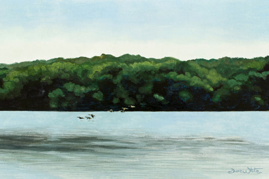 Potomac River Geese Watercolor Painting Art Print