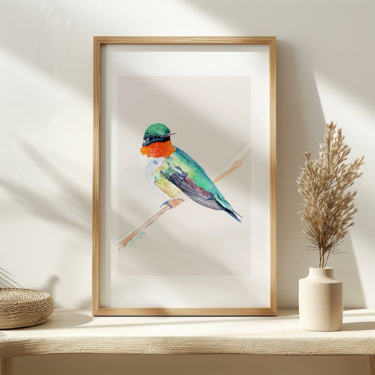 Ruby Throated Hummingbird Art Print