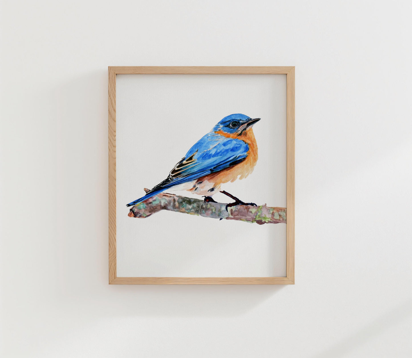 Male Eastern Bluebird Watercolor Painting Art Print (Digital Download - Vertical)