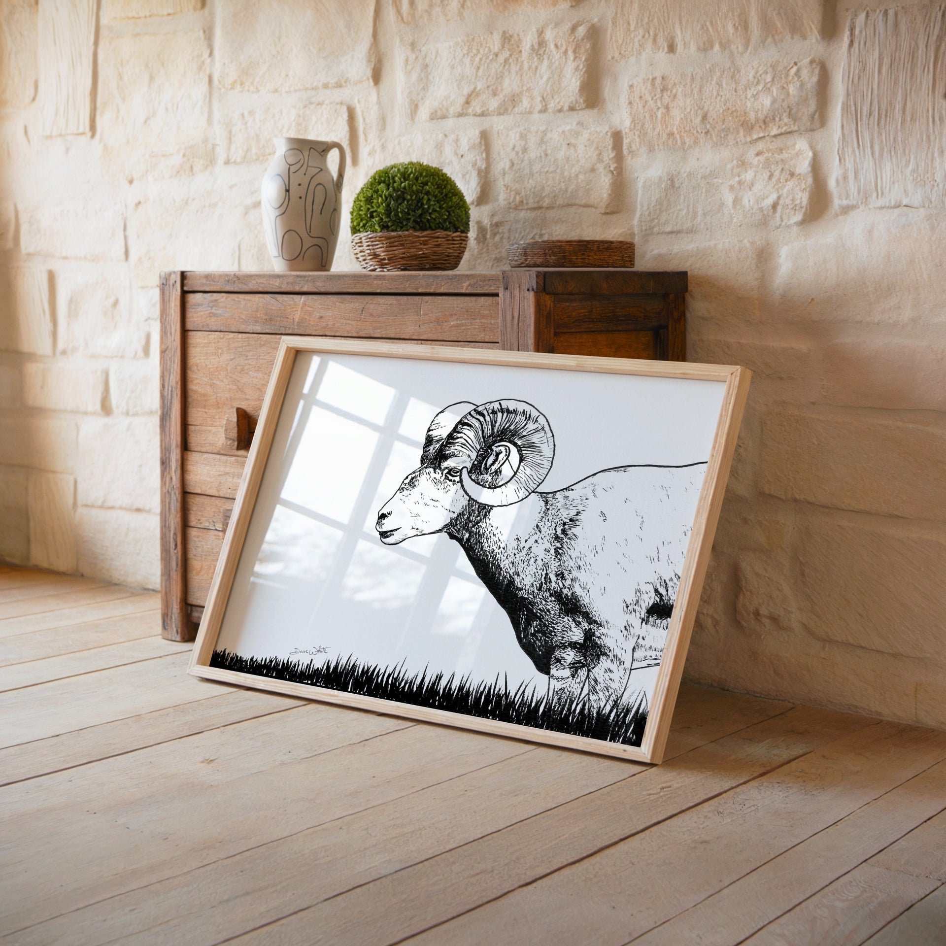 bighorn sheep drawing art print framed by artist dave white