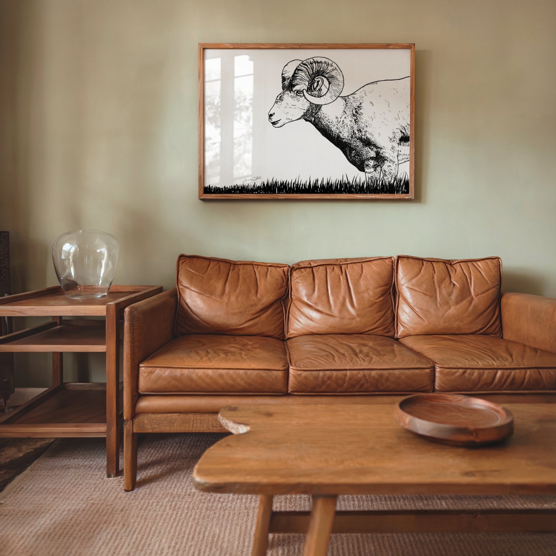bighorn sheep drawing print by artist dave white