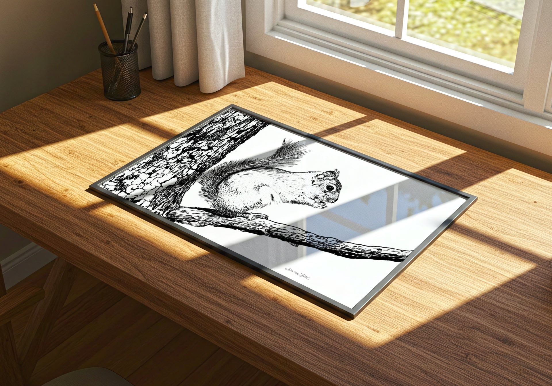 Squirrel Art Print Black and White by Artist Dave White