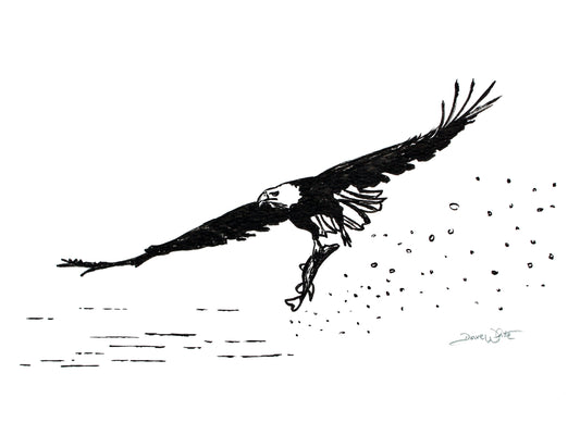 Eagle Drawing Black and White Art Print