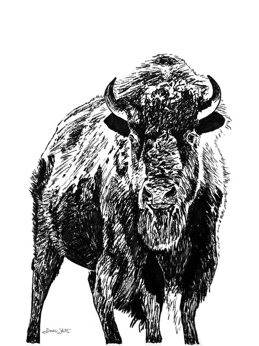 Bison Drawing Black and White Art Print
