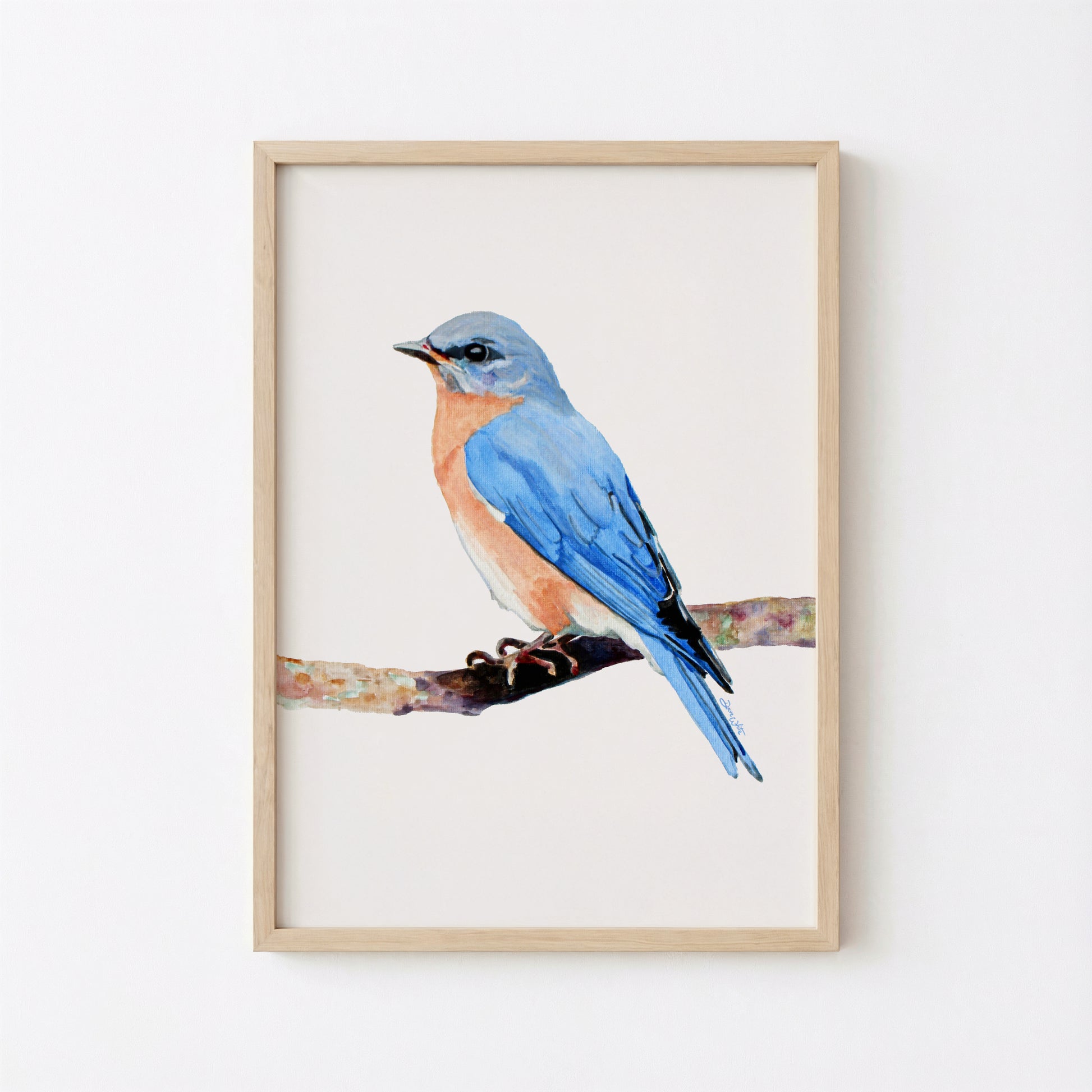 Female Eastern Bluebird Watercolor Painting Art Print