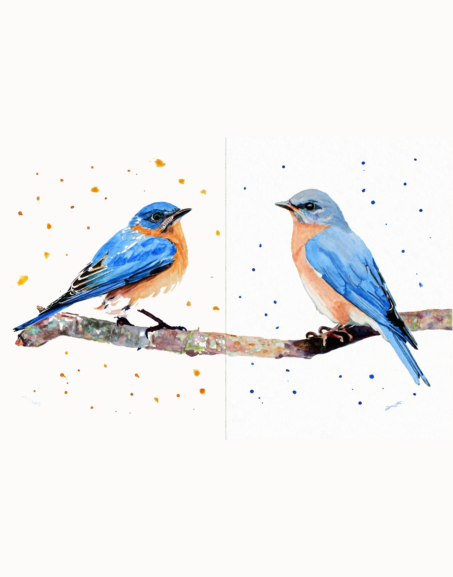 Set of Two Male and Female Eastern Bluebirds Watercolor Art Prints