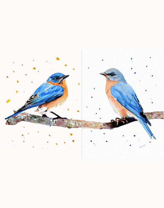 Set of Two Male and Female Eastern Bluebirds Watercolor Art Prints