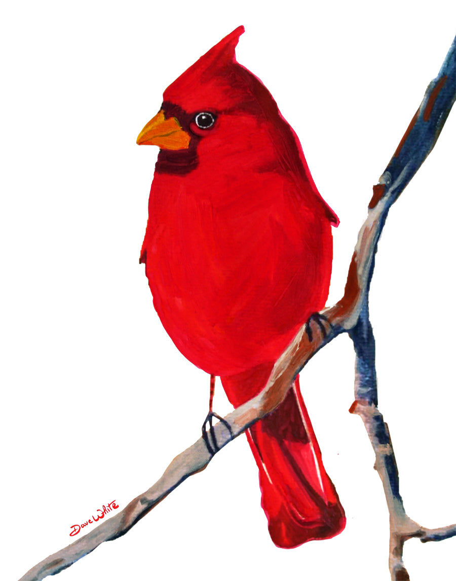 Red Cardinal Bird Watercolor Painting Art Print