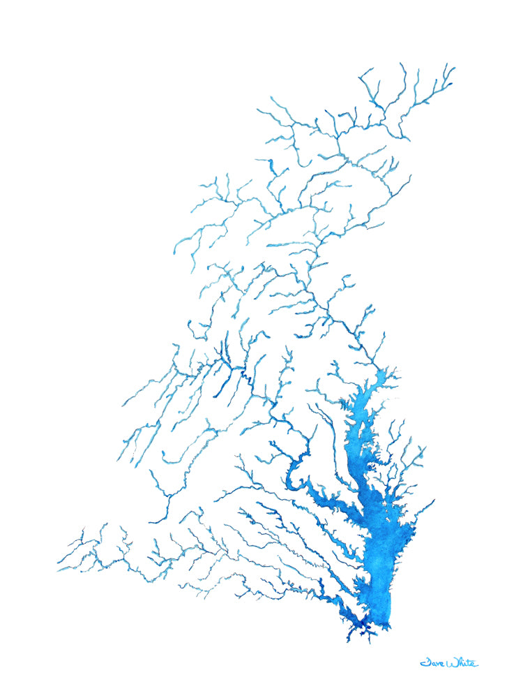 Chesapeake Bay Watershed Watercolor Painting Art Print