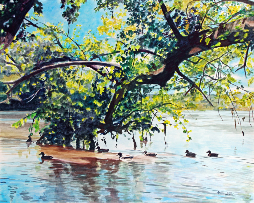 Landscape Painting of Ducks in River Art Print