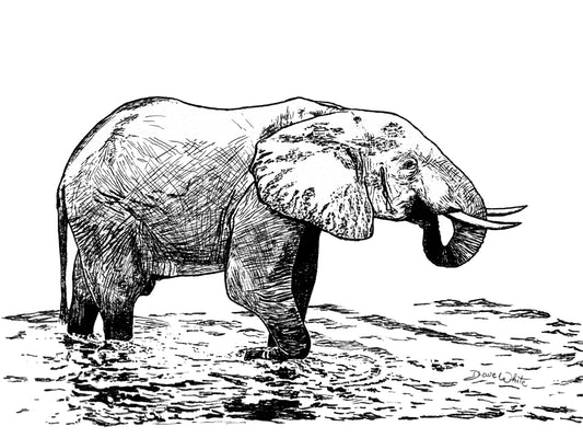 Elephant Drawing Art Print Black and White