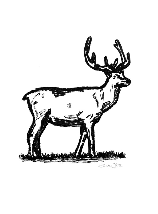 Bull Elk Drawing Black and White Art Print