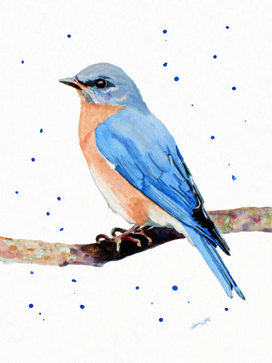 Female Eastern Bluebird Watercolor Painting Art Print