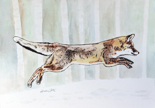 Winter Fox Jumping in Snow Watercolor Painting Art Print
