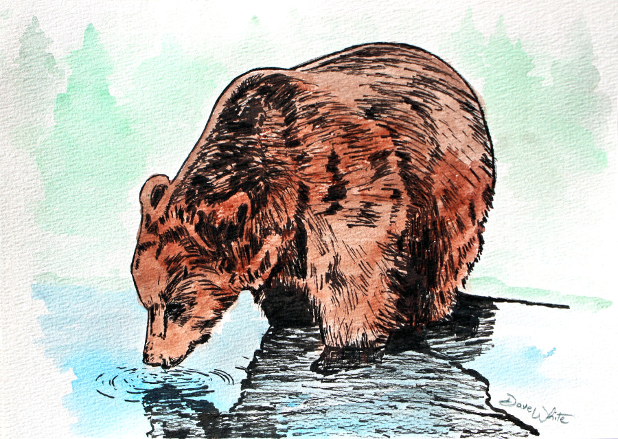 Grizzly Bear Watercolor Painting Animal Art Print