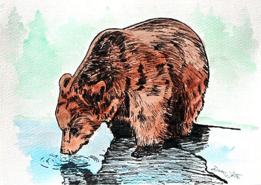 Grizzly Bear Watercolor Painting Animal Art Print