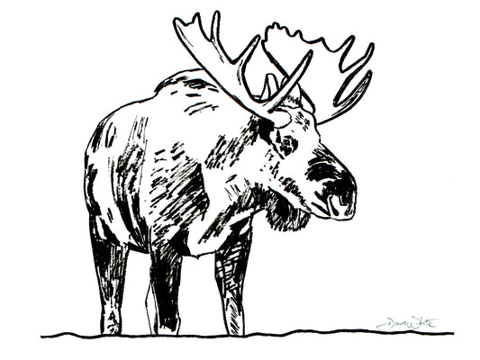 Moose Drawing Black and White Art Print
