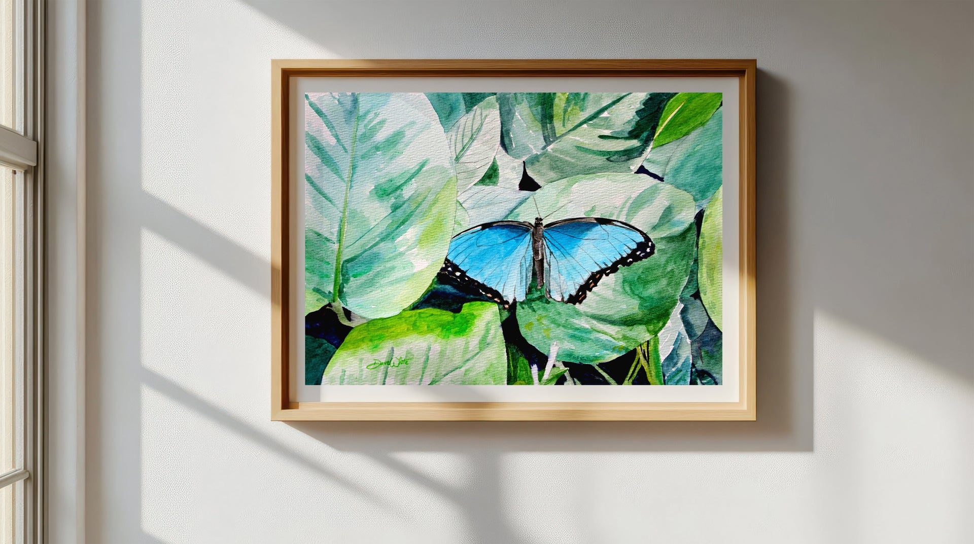 Morpho Butterfly Art Print
