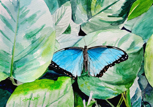 Morpho Butterfly Watercolor Painting Art Print