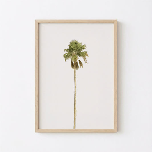 Minimalist Palm Tree Art Print