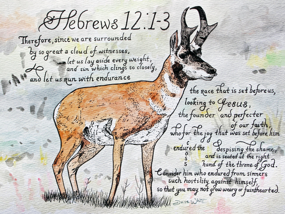 Run with Endurance Hebrews 12 1-3 Bible Verse Calligraphy Art Pronghorn Antelope Watercolor