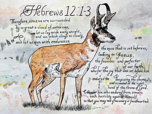 Run with Endurance Hebrews 12 1-3 Bible Verse Calligraphy Art Pronghorn Antelope Watercolor