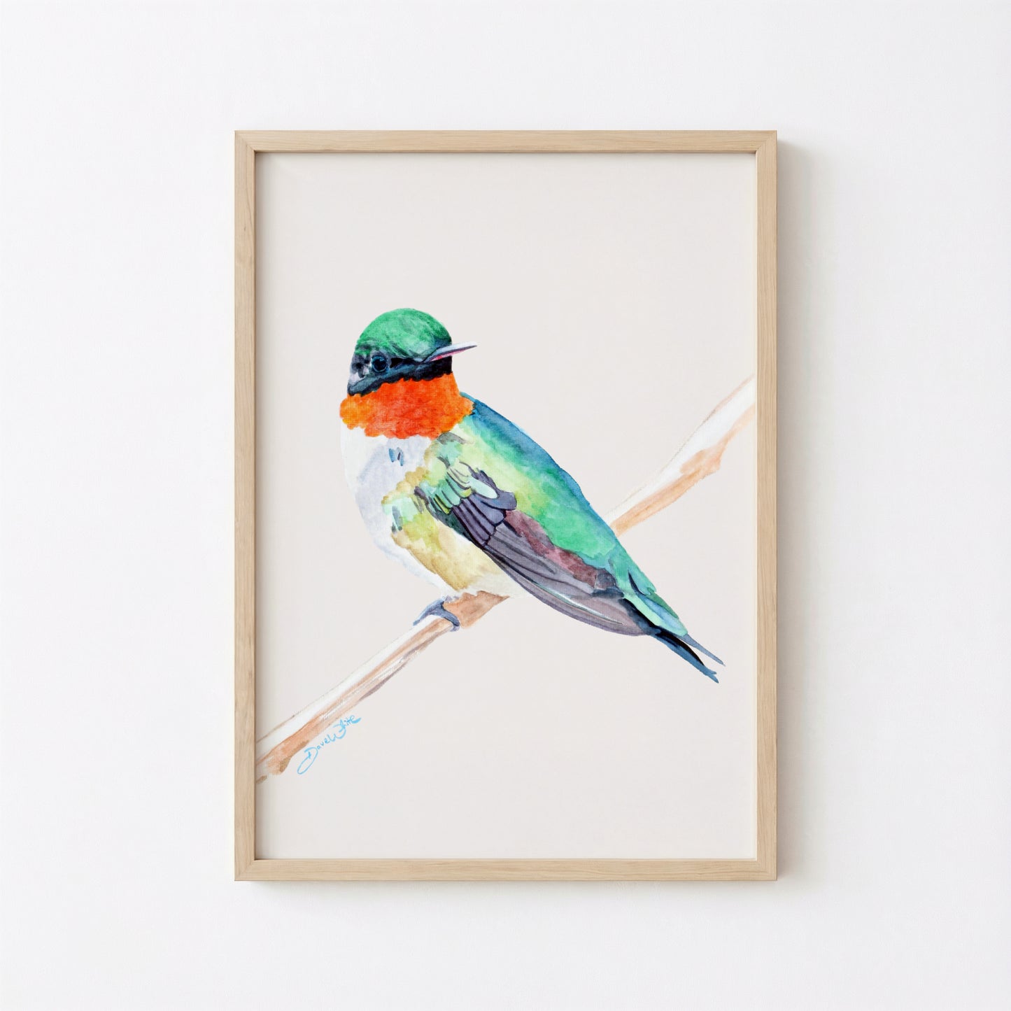 Ruby Throated Hummingbird Print