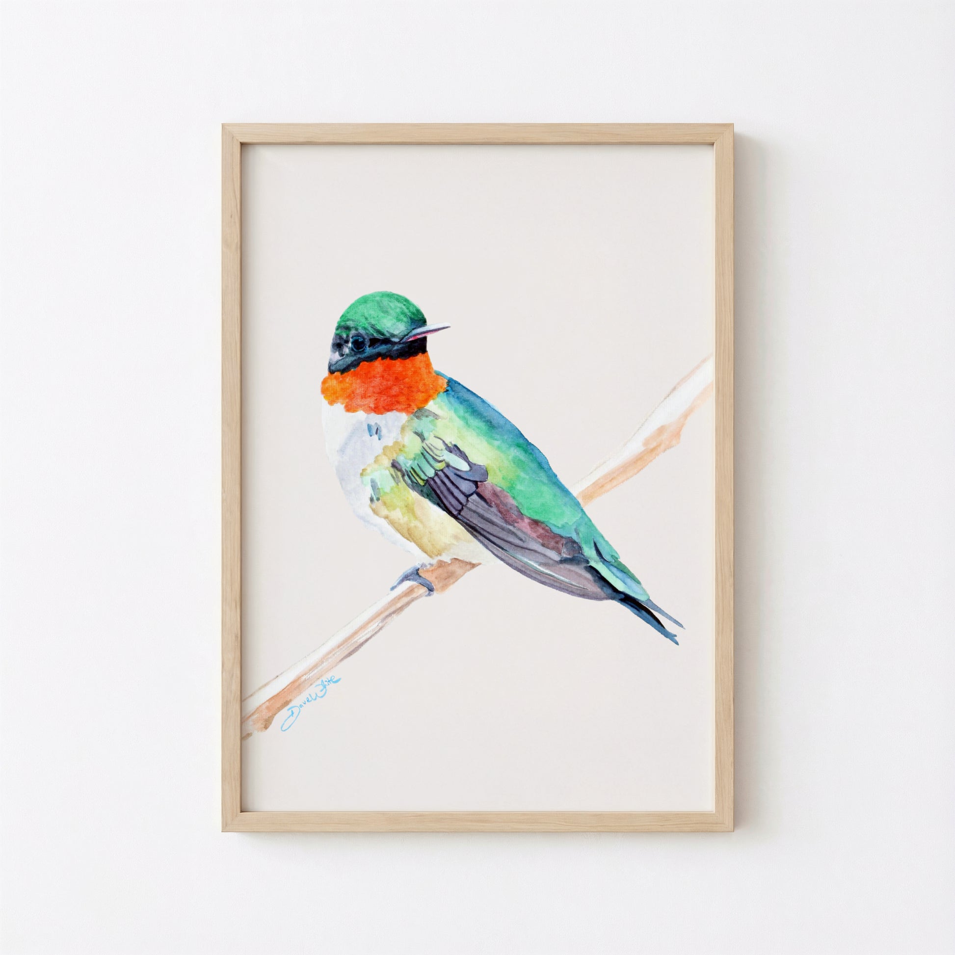 Ruby Throated Hummingbird Print
