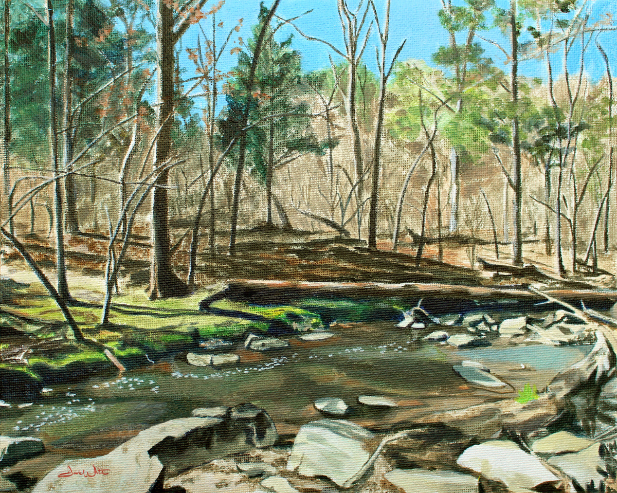 Runnymede Park Landscape Painting Herndon Virginia Art Print