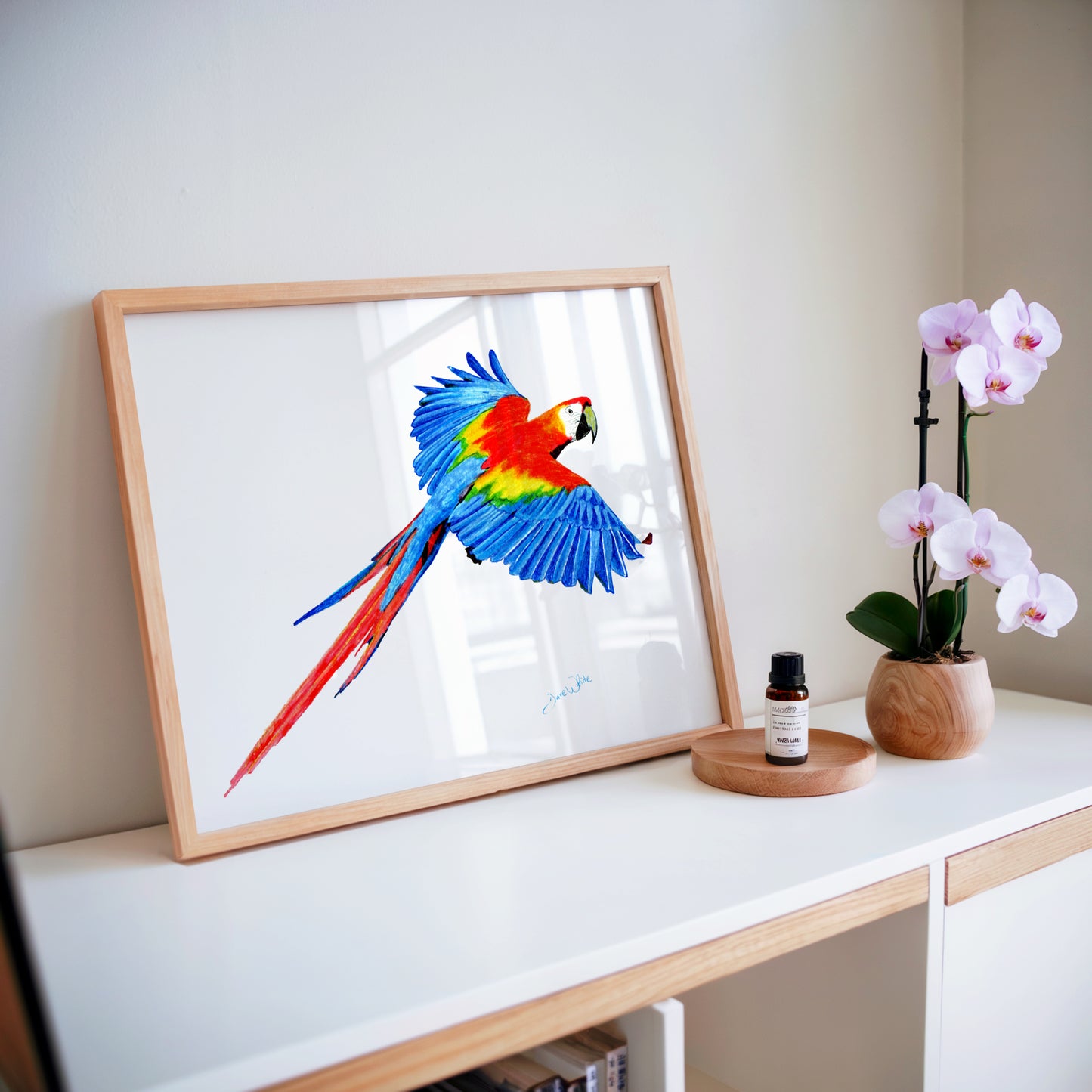 Framed artwork of a colorful parrot on a shelf with a small plant and bottle.