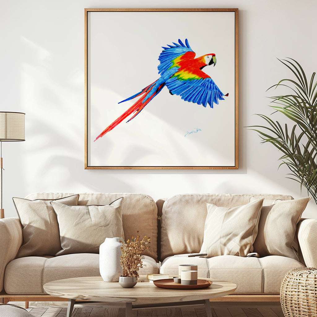 Colorful Parrot Wall Art Print Scarlet Macaw