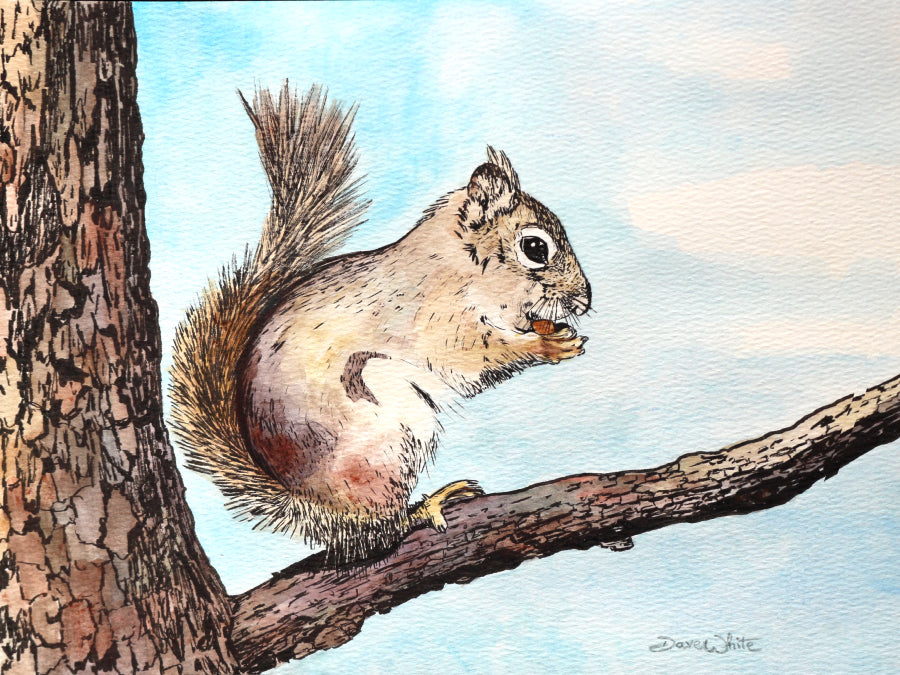 Squirrel Watercolor Painting Art Print