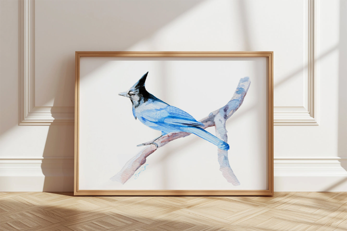 Steller's Jay Watercolor Painting