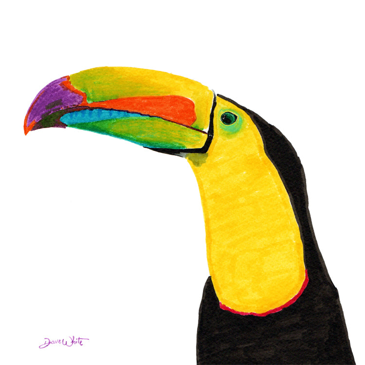 Keel-Billed Toucan Art Print