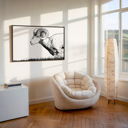 bighorn sheep drawing framed by artist dave white