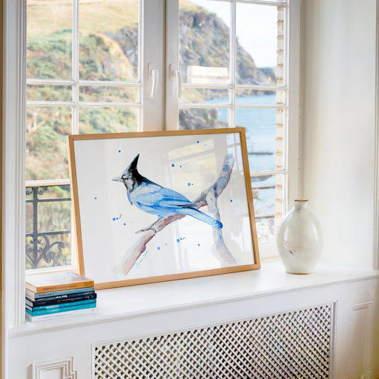 Steller's Jay Painting Art Print Bird Watercolor Artwork