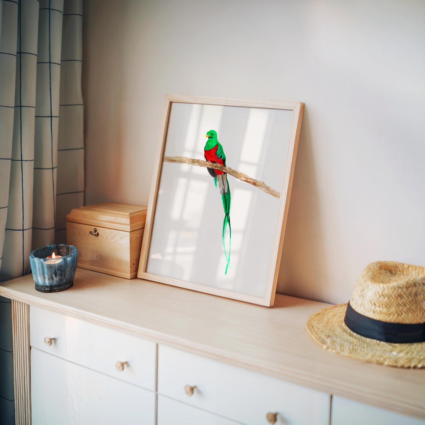 Resplendent Quetzal Watercolor Painting Art Print Digital Download