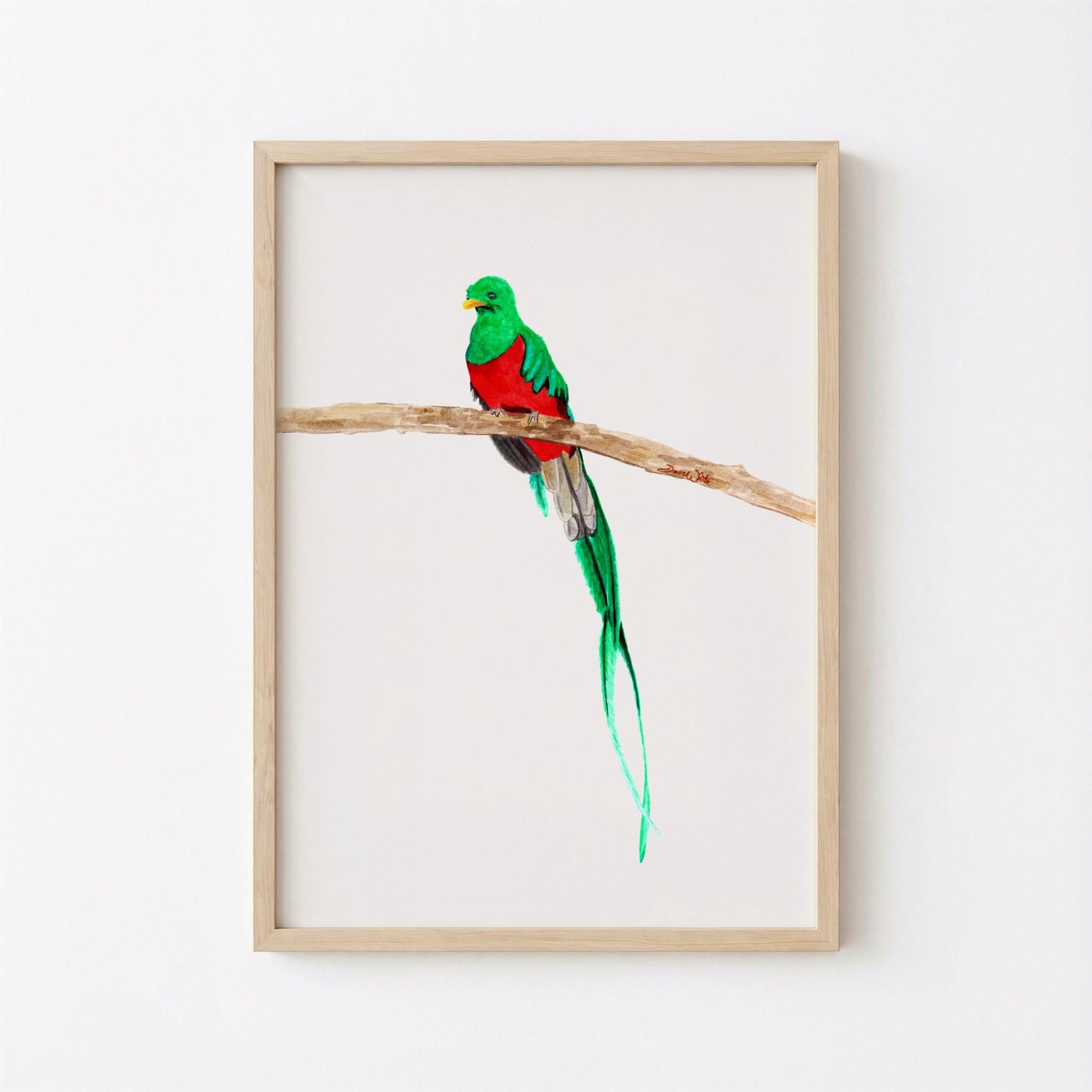 Resplendent Quetzal Watercolor Painting Art Print Digital Download