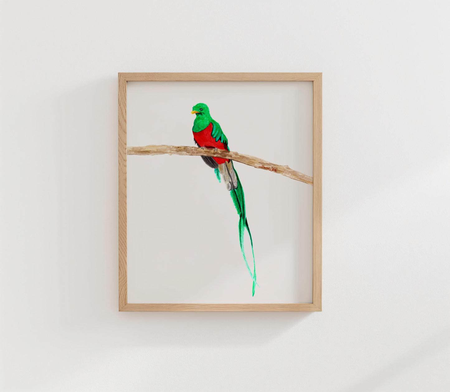 Resplendent Quetzal Watercolor Painting Art Print Digital Download