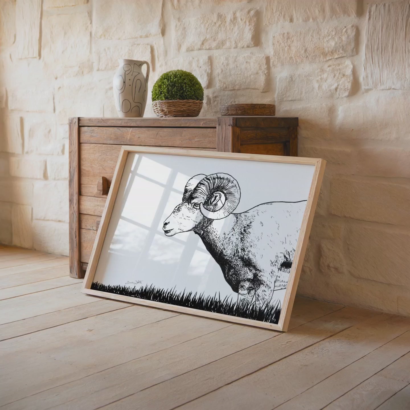 bighorn sheep drawing framed by artist dave white