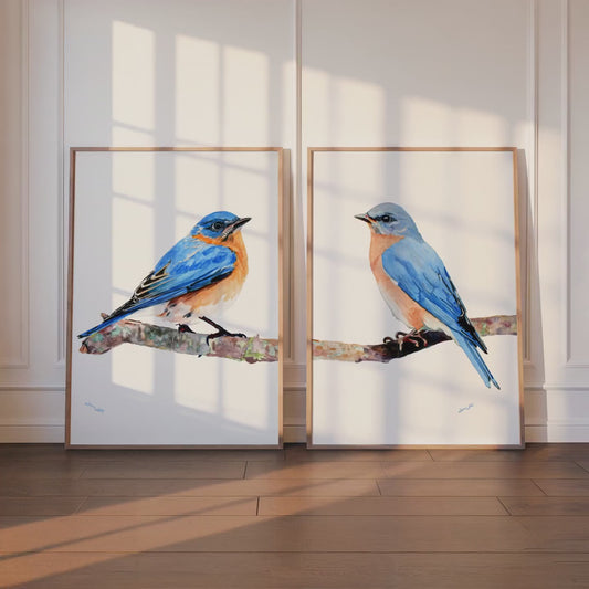 Eastern Bluebirds Set of Two Watercolor Painting Art Prints
