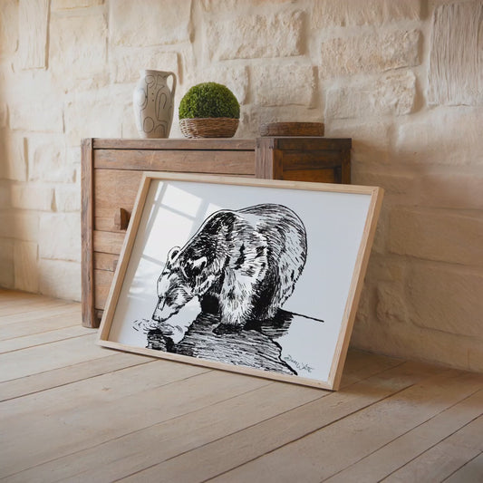 Grizzly Bear Drawing Black and White Art Print Artist Dave White