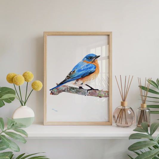 Male Eastern Bluebird Watercolor Painting Art Print